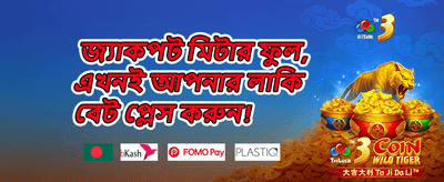 সাপ্তাহিক ভিআইপি ক্যাশব্যাক